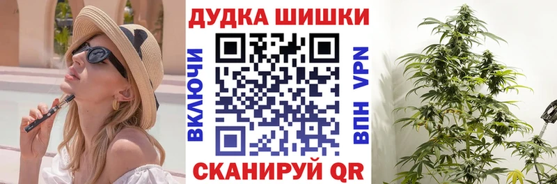 Конопля гибрид  где купить наркотик  Щигры 